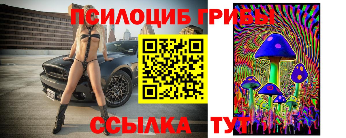 Псилоцибиновые грибы ЛСД Сорочинск