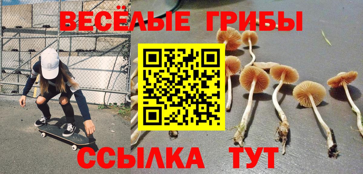 Псилоцибиновые грибы Psilocybe  Псилоцибиновые грибы GOLDEN TEACHER  Сорочинск  Вход с VPN 